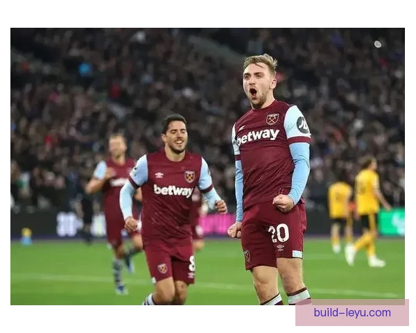 阿斯顿维拉队员伤情更新 主教练谈球队近期状态与目标