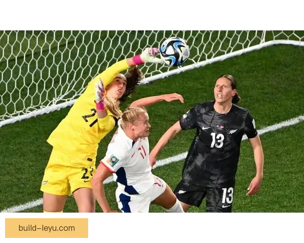 世界杯焦点战：国家队新星助力逆转对手取得胜利