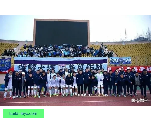 北京市足球联赛发展现状与未来前景分析